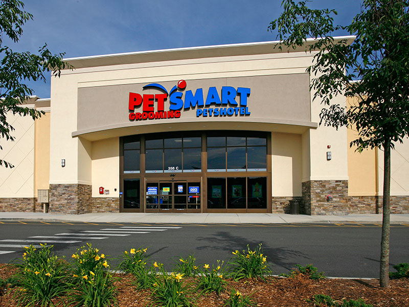 Petsmart, Saugus, Massachusetts